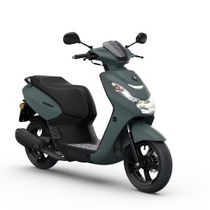 Kisbee S Shadow